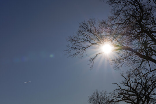 A bright, uplifting photograph of bare tree branches reaching into a deep blue sky as sunlight bursts through, creating a natural sun flare