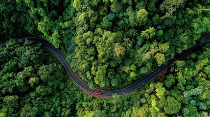  Aerial View of Winding Road Through Dense Forest with Red Vehicle
