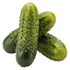 Three fresh gherkin pickles with bumpy green skin isolated on transparent background