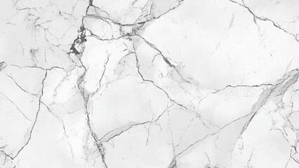 Obraz premium Elegant White Marble Background with Natural Gray Veins. Luxury White Marble Stone Texture
