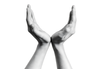 Monochrome view of two empty human hands cupped together in open palm gesture for giving or receiving care support and protection symbol isolated on transparent background