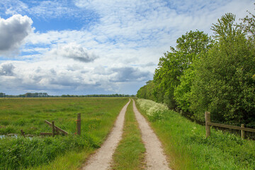 Obraz premium Dirt road and fields in Dutch countryside