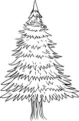 Obraz premium christmas tree sketch
