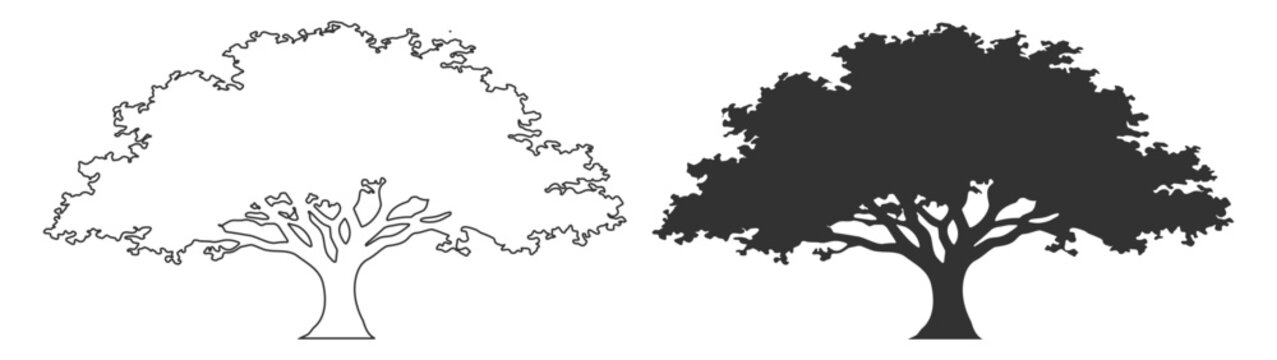 Tree silhouette set, maple birch elm poplar willow woodland vector illustration, forest nature landscape, black isolated design printable poster on transparent background