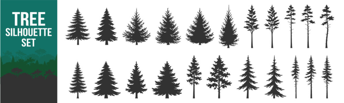 Evergreen pine tree silhouette collection, forest nature vector illustration set, conifer fir spruce christmas snow alpine mountain taiga woodland landscape on transparent background