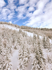 winter landscape with snow
