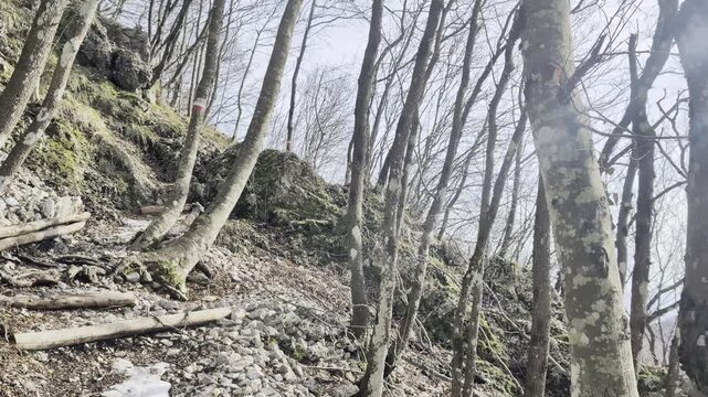 Il sentiero 173B in inverno sul monte San Vicino nelle Marche