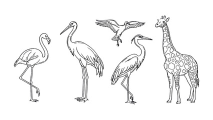Obraz premium Line Art Wildlife Ensemble: A striking collection of intricately detailed line art showcasing diverse wildlife, with each creature depicted in elegant simplicity.