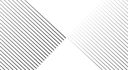 Fototapeta premium design lines Black-White 