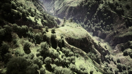 Vibrant green hills stretch across a tranquil valley, dotted with dense foliage. The sunlight filters gently through the trees, creating a peaceful atmosphere in natures embrace.