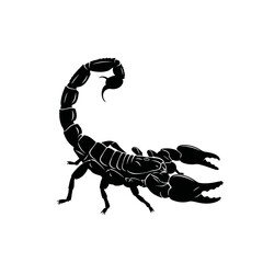 Scorpion Stinging Tail Silhouette Desert Insect Vector Icon Isolated on White Background Dangerous Bug