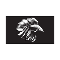 Beautiful black and white illustration of betta fish