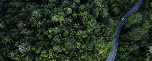 aerial view of a winding asphalt road cutting through dense green forest. Scenic mountain roadway surrounded by lush tropical trees, ideal for travel, transportation, nature, adventure, sustainability © Hand Robot