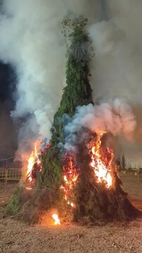 Bonfire celebration in honor of Saint Anthony the Abbot in J&aacute;vea, Spain, made from wood and pine branches. Pagan and Christian festival.