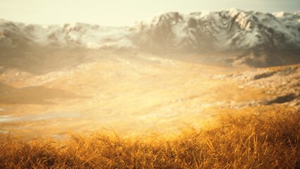 Obraz premium Warm golden grass dances in the breeze under a soft glow of sunlight. Snow capped mountains rise majestically in the background, creating a peaceful and serene landscape scene.