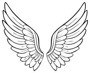 Fototapeta premium Pair of detailed vector outline angel wings illustration, simple design for emblems.