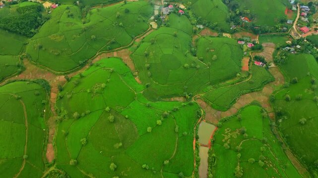 Aerial view of a tranquil landscape featuring vibrant green hills interspersed with small villages, creating a patchwork of nature and community, thu tho, Phu Tho, Vietnam.