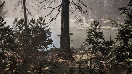 Fototapeta premium Sunlight filters through towering trees as a serene river winds through a lush forest. Ferns and shrubs frame the scene, creating a peaceful and inviting atmosphere for wildlife.