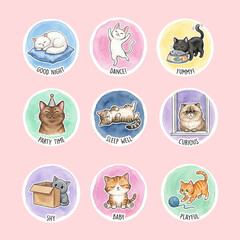 set of cute cats in pink background