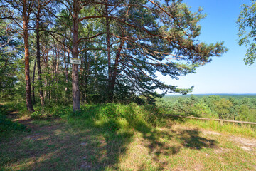 Hurlevent viewpoint in Fontainebleau forest. &Icirc;le-de-France region
