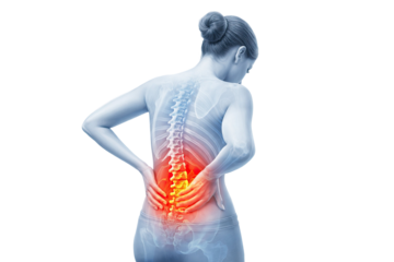 Female lower back pain showing lumbar spine vertebrae inflammation medical anatomy illustration highlighting spinal injury isolated on white background