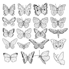 Collection butterflies, black and white sketches. Vector illustration. Set of flying insect silhouettes with wings isolated on white background. Summer, spring design. Party invitation, birthday decor