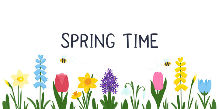 Spring time banner with hand-drawn garden flowers like tulips and daffodils, and cute bees. Horizontal floral border vector illustration isolated on white. Perfect for Easter or greeting cards.