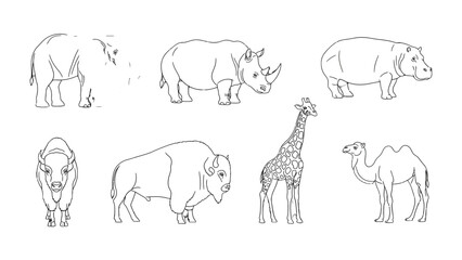 Obraz premium Line art animal set: An artistic assortment of majestic creatures presented in elegant line art style, capturing their essence in simplicity and detail. 