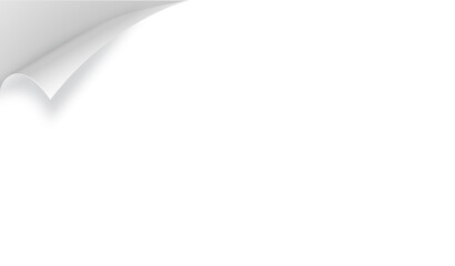 Curly Page Corner realistic illustration. Curled corners set. Paper page curl corner, flip turn fold sheet. Sticker. Vector