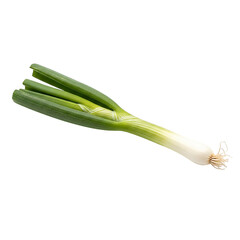 Fresh and vibrant spring onion isolated on transparent background
