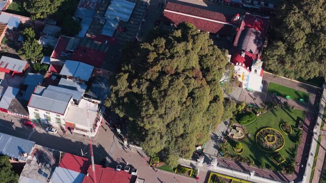 Aerial panorama of Santa Mar&iacute;a del Tule, Oaxaca, and famous Tule Tree, Oaxaca