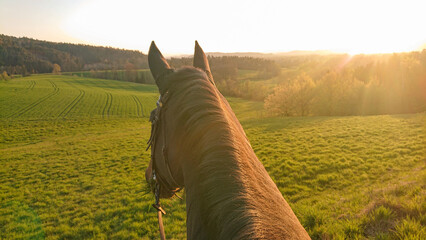 Obraz premium POV: Riding a brown stallion around the countryside on a sunny spring morning.