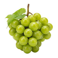 Luscious bunch of Shine Muscat grapes, with leaves on transparent background