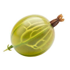 Single fresh gooseberry, close-up studio shot, isolated on transparent background