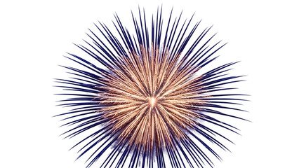 Obraz premium Vibrant fireworks burst with golden and blue light on white background.