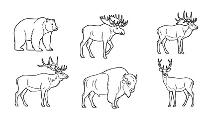 Fototapeta premium North American Wildlife: A set of six unique outline illustration of North American wildlife, ideal for educational or artistic projects. Featuring a bear, moose, bison, and various deer species. 