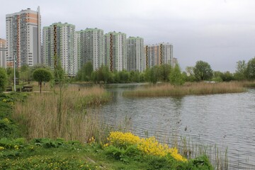 Obraz premium Modern skyscrapers near a park with a lake, lifestyle concept