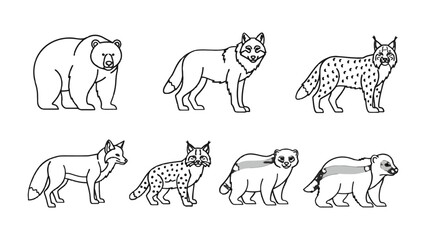 Fototapeta premium Wildlife Sketches: A series of expertly crafted line drawings showcase the diverse beauty of nature's creatures. These illustrations depict a bear, wolf, fox, badger.