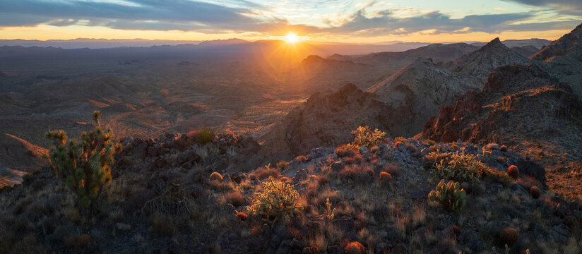 View of the sun's radiant fingers stretch across a rugged, desert landscape dotted with spiky cacti and rocky outcrops at sunset, Nipton, California, United States.