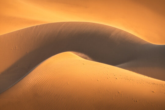 View of undulating sand dunes bask in the warm glow of the sun, creating a mesmerizing pattern of light and shadow, Nipton, California, United States.