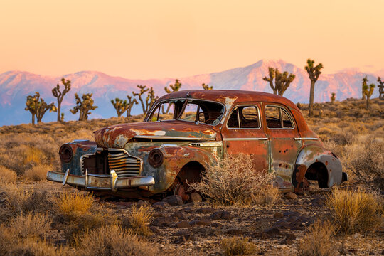 View of a rusted, vintage car rests silently amidst the arid landscape, against a backdrop of Joshua Trees and distant mountains, Stovepipe Wells, CA, United States.