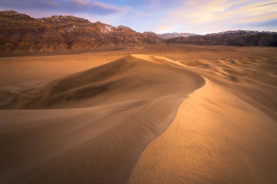 View of golden sand dunes curve sensually under a pastel sky, while rugged mountains stand guard in the distance, Stovepipe Wells, CA, United States.