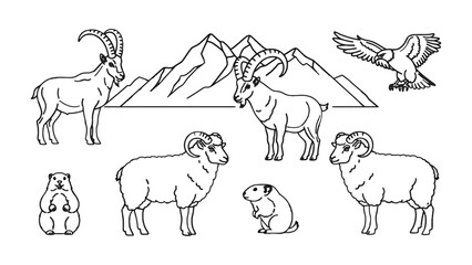 Fototapeta premium Mountain Animals Illustration: A collection of various mountain animals illustrations in line art, perfect for design needs.