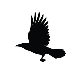 Obraz premium A striking silhouette of a bird in mid flight wings fully extended