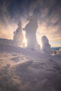 View of snow-covered trees, sculpted by winter's breath, stand like silent sentinels against the radiant sky, a frozen landscape, Yamagata, Yamagata, Japan.