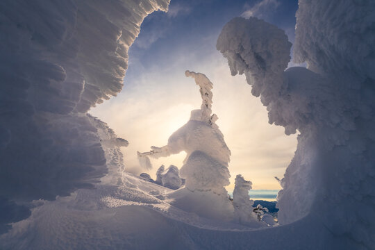 View of snow-covered trees sculpted by winter winds, creating otherworldly figures against the gentle glow of the sun, Yamagata, Yamagata, Japan.