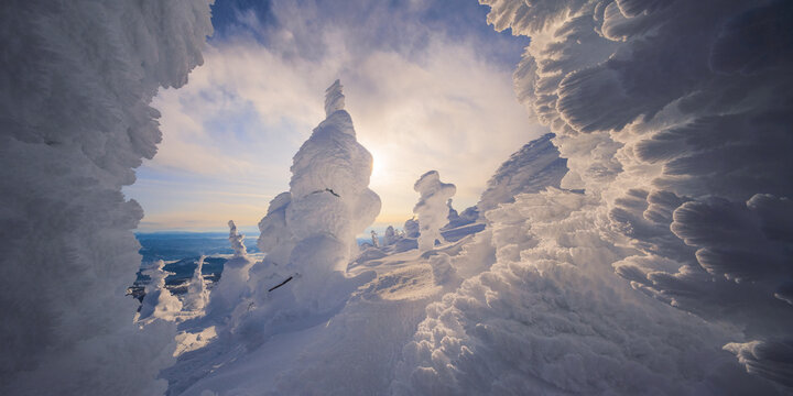 View of snow-laden trees rise like frosted statues against a pale sky in the winter wonderland, a cold, crisp landscape, Yamagata, Yamagata, Japan.
