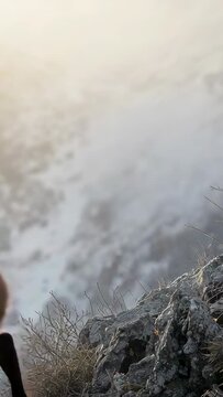 Vertical video: Scanning slope ram shifting foreleg stepping on rocky ledge past shrubs