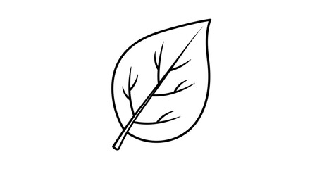 Simple Outline Drawing of a Single Leaf with Veins. © amir