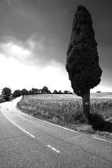 Naklejka premium Italia panorami della Toscana in bianco e nero. Provincia di Siena,Val D'Orcia e Chianti Senese. Toscana, Italia 